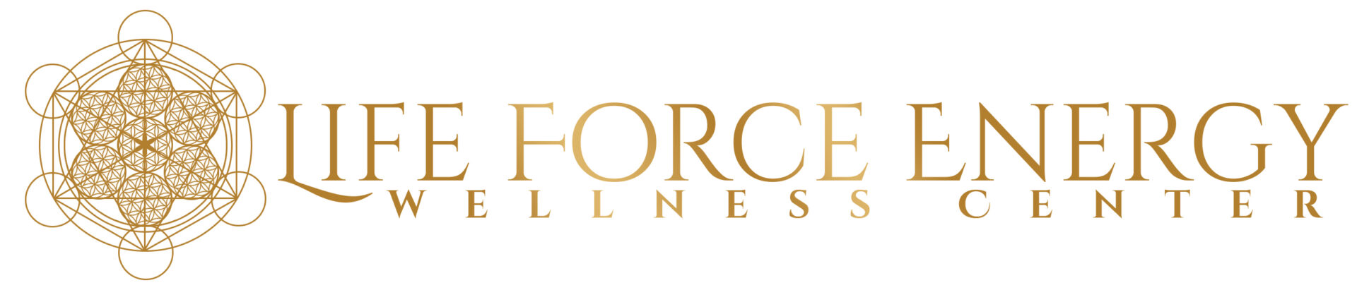 Life Force Energy Wellness Center